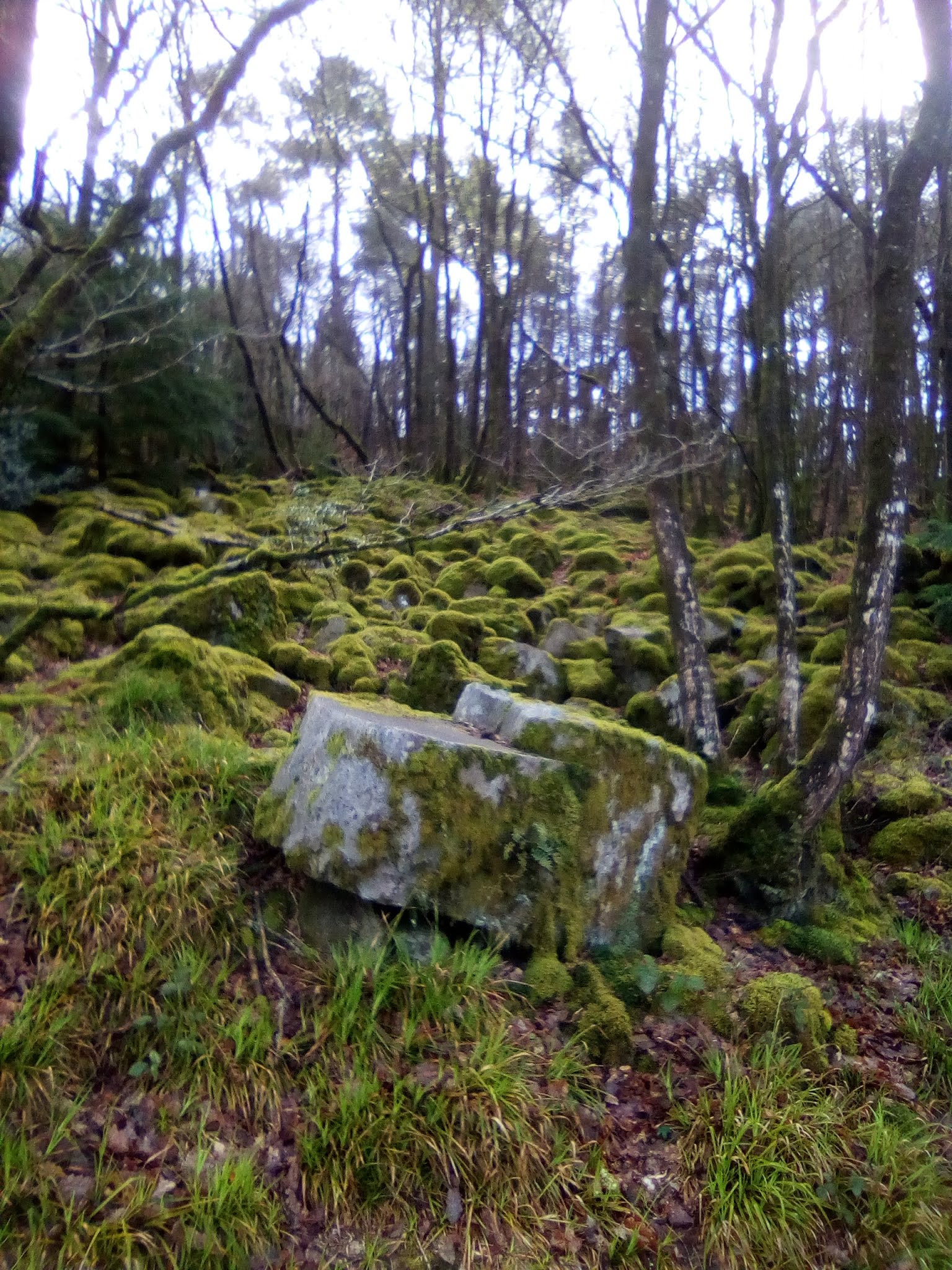 Photo n° 3 de l'avis de benoit.i fait le 14/04/2019 à 15:31