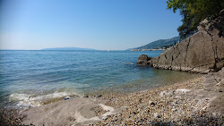 Dog Beach Opatija'in fotoğrafı çok temiz temizlik seviyesi ile