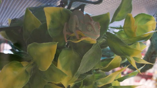 Pet Supply Store «Petco Animal Supplies», reviews and photos, 1090 Fort Union Blvd, Midvale, UT 84047, USA