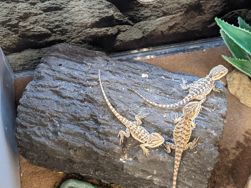 Pet Supply Store «Petco Animal Supplies», reviews and photos, 1310 Tingle Cir E b, Mobile, AL 36606, USA