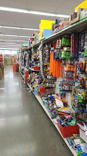 Dollar Store «Dollar Tree», reviews and photos, 7601 Evergreen Way, Everett, WA 98203, USA