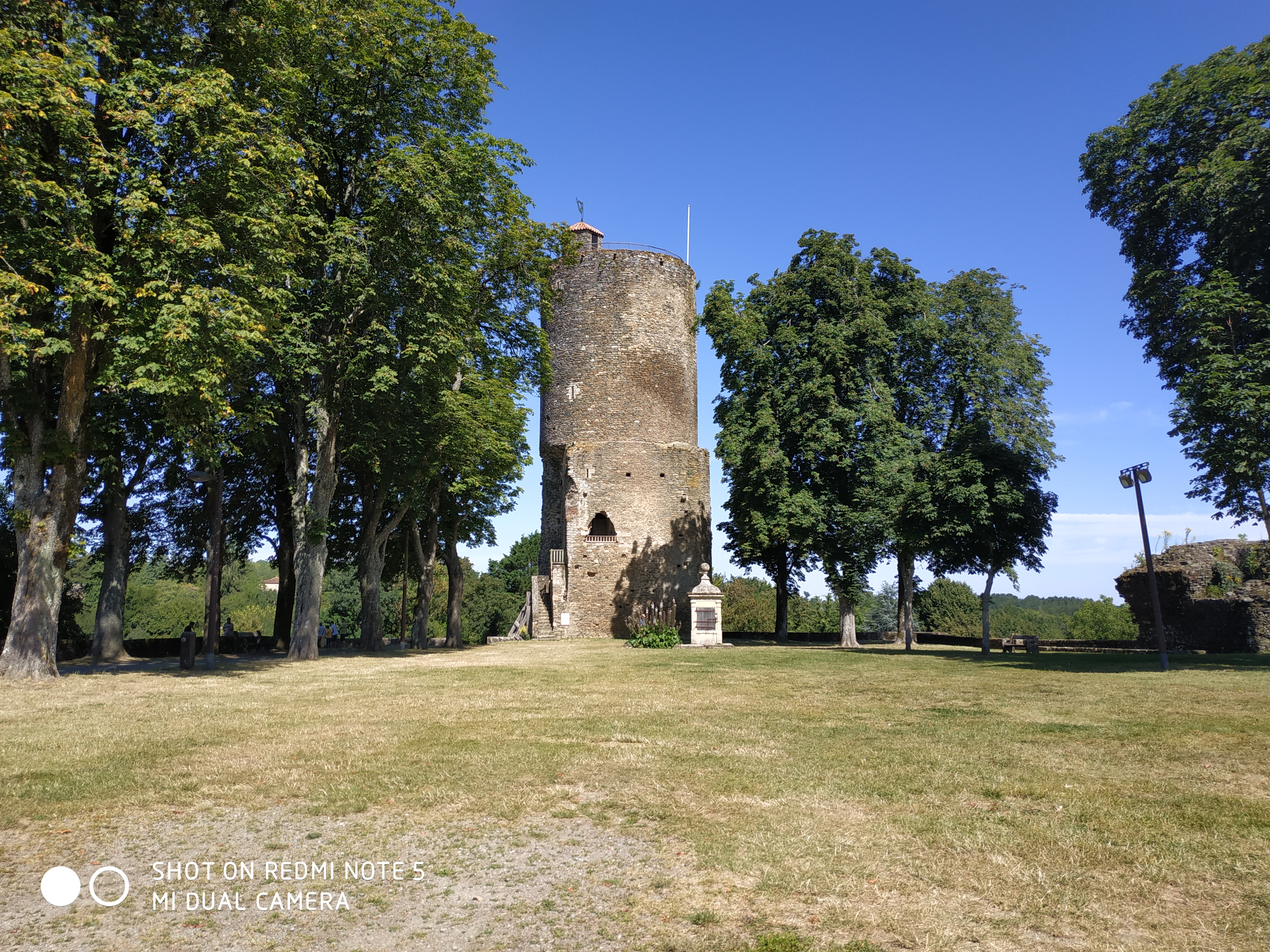 Photo n° 1 de l'avis de DomyG.i fait le 19/07/2020 à 13:17