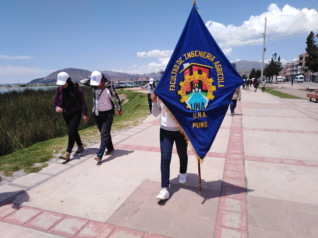 Opiniones de INGENIERIA AGRICOLA en Puno - Universidad