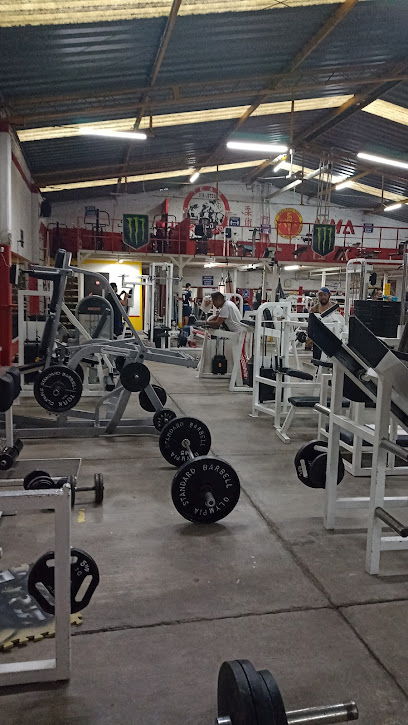 Bustos Gym - Guadalupe Victoria 966, Nuevo, 36500 Irapuato, Gto., Mexico