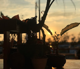 Republik SLE Coffee House and Distro - Pulau Baai photo