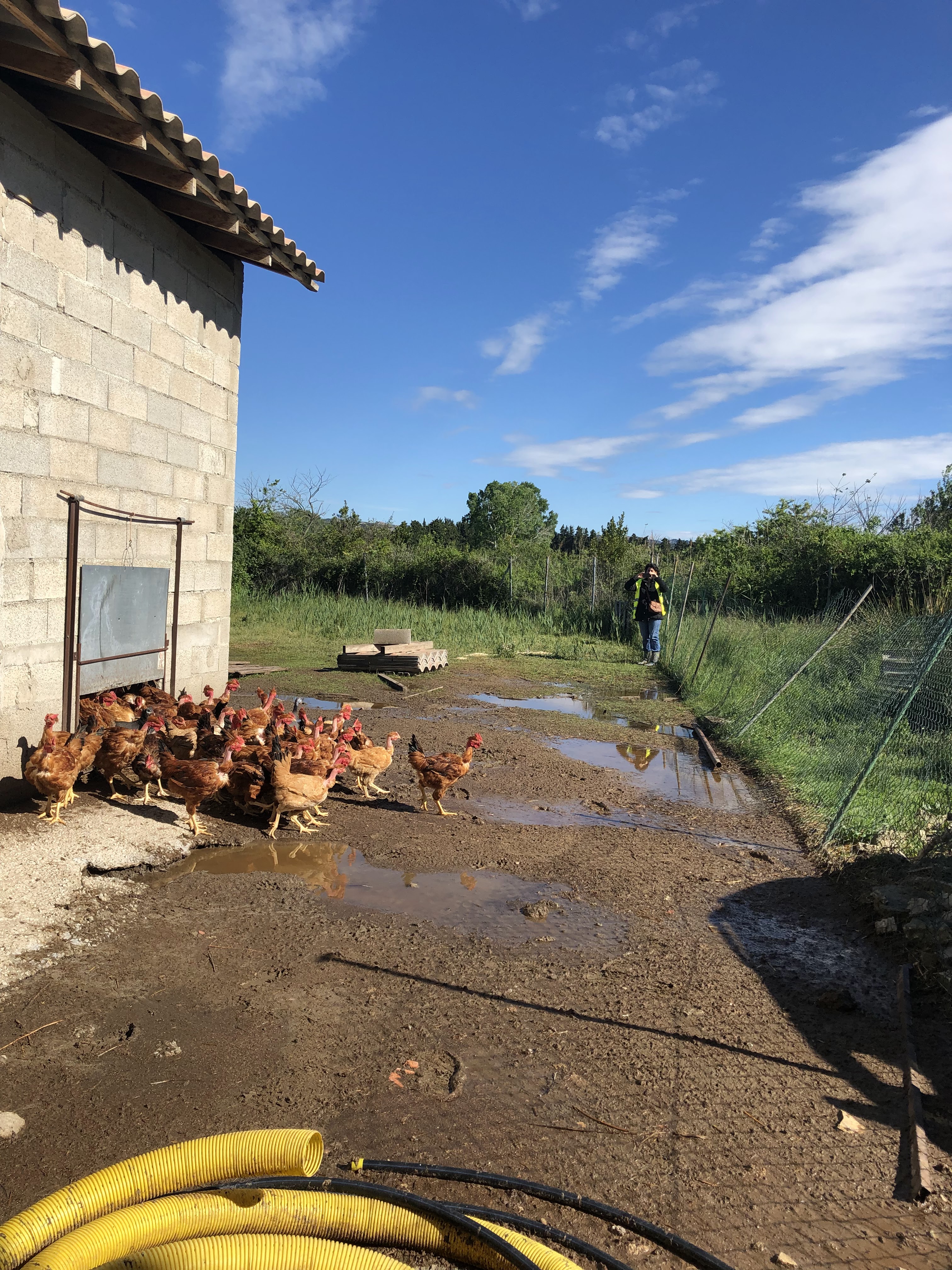 Photo n° 2 de l'avis de Valerie.o fait le 29/04/2019 à 20:55
