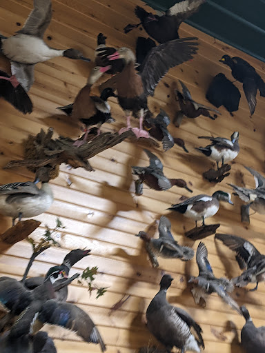 Sporting Goods Store «Midwestern Shooters Supply», reviews and photos, 191 Church St, Lomira, WI 53048, USA