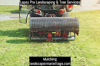 Lopez Pro Landscaping & Tree Services - Photo 2 - Car repair in , Sandy Springs