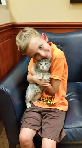 Pet Supply Store «PetSmart», reviews and photos, 4465 US-14, Crystal Lake, IL 60014, USA