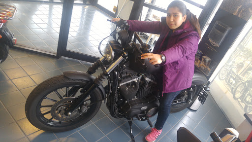 Motorcycle Dealer «Triumph Detroit», reviews and photos, 47488 Van Dyke, Shelby Charter Township, MI 48317, USA