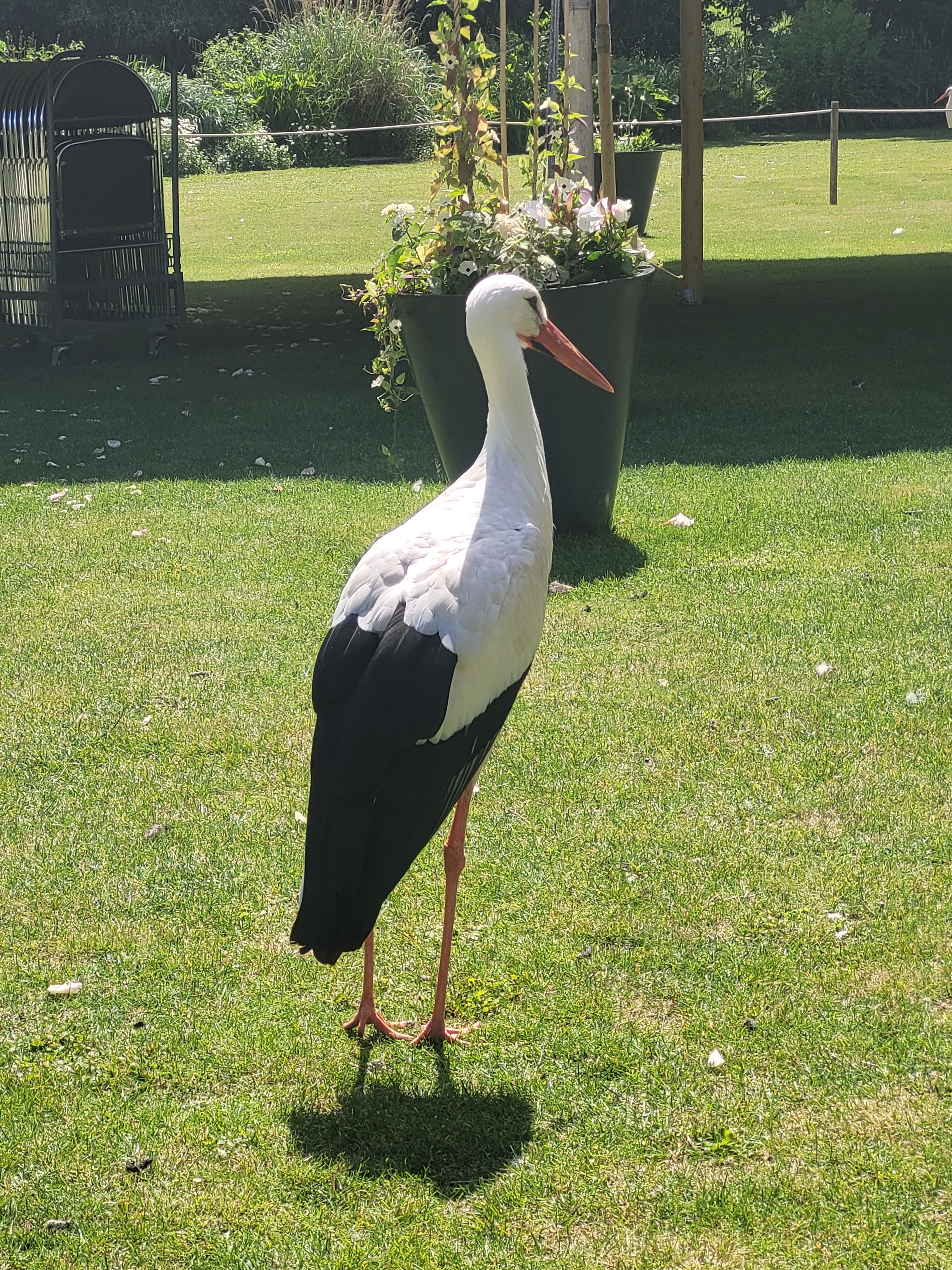 Photo n° 33 de l'avis de Vero.o fait le 14/06/2022 à 11:47