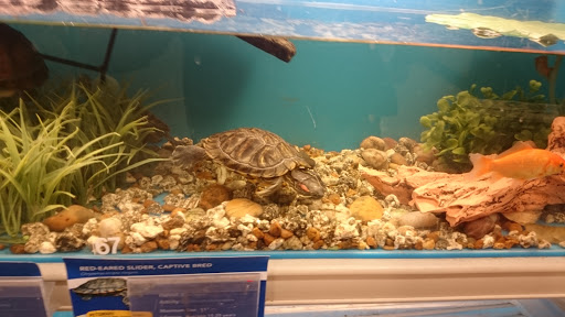 Pet Supply Store «PetSmart», reviews and photos, 1125 Hover St, Longmont, CO 80501, USA