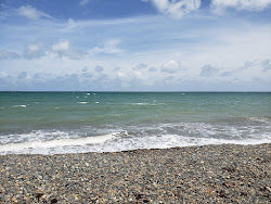 Playa Las Ochenta'in fotoğrafı vahşi alan