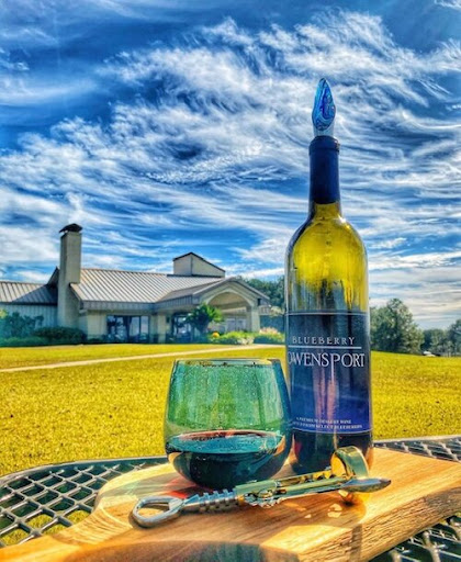 Vineyard «Chautauqua Vineyard & Winery», reviews and photos, 364 Hugh Adams Rd, Defuniak Springs, FL 32435, USA