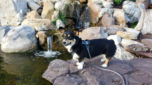 Sporting Goods Store «Bass Pro Shops», reviews and photos, 1972 Power Plant Pkwy, Hampton, VA 23666, USA