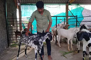 Satish anna more goat farm image