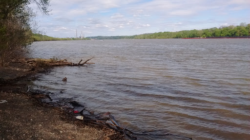 Dollar Store «FAMILY DOLLAR», reviews and photos, 511 Green Blvd, Aurora, IN 47001, USA