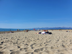 Zdjęcie Spiaggia di Vecchiano położony w naturalnym obszarze