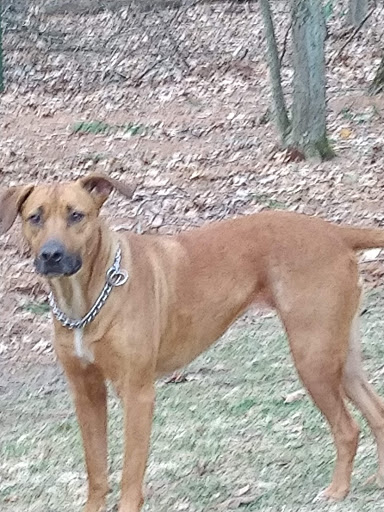 Pet Supply Store «Petco Animal Supplies», reviews and photos, 190 Quality Dr, Hooksett, NH 03106, USA