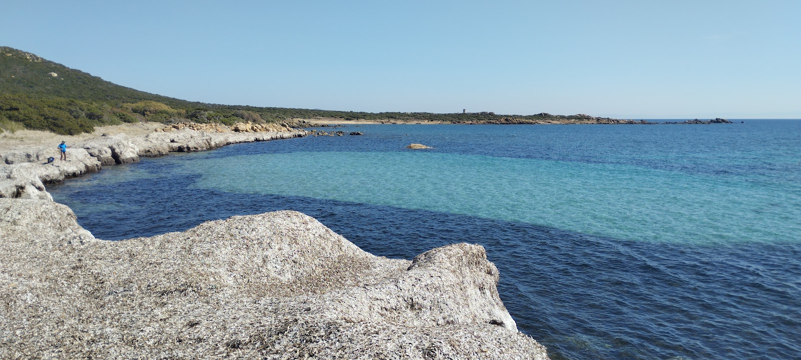 Foto di Plage de Mucchiu Biancu con molto pulita livello di pulizia