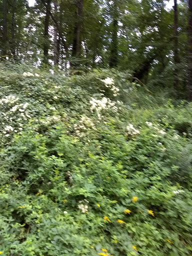 Park «Sandy Springs - Ridgeview Park», reviews and photos, 5200 S Trimble Rd, Sandy Springs, GA 30342, USA