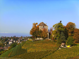 Château du Châtelard SA