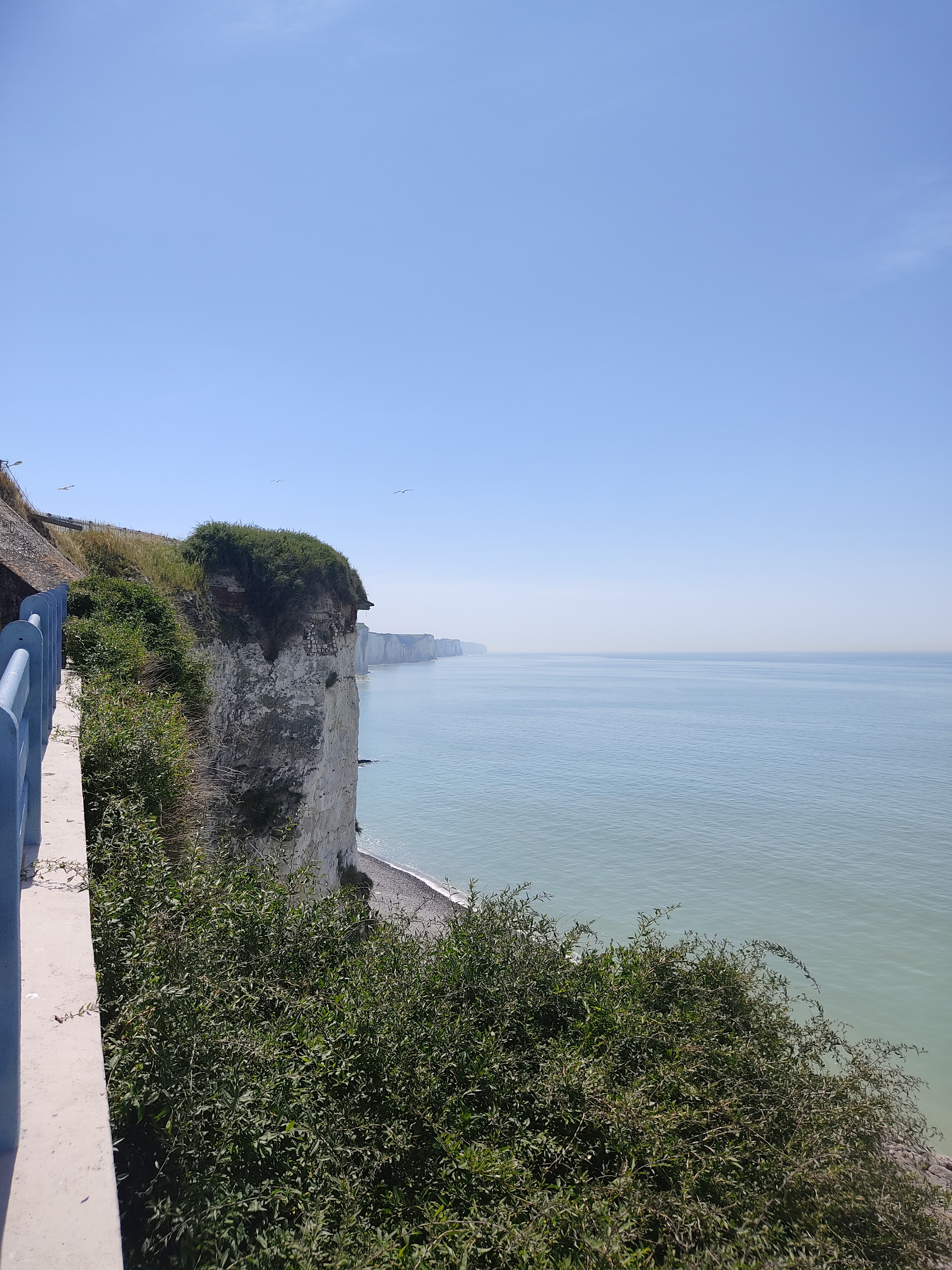 Photo n° 6 de l'avis de Fabrice.t fait le 16/06/2022 à 18:49