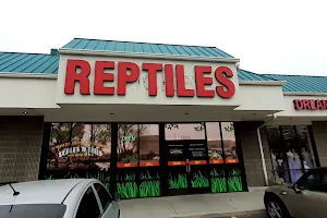 Scales Exotic Reptiles Pet Shop image