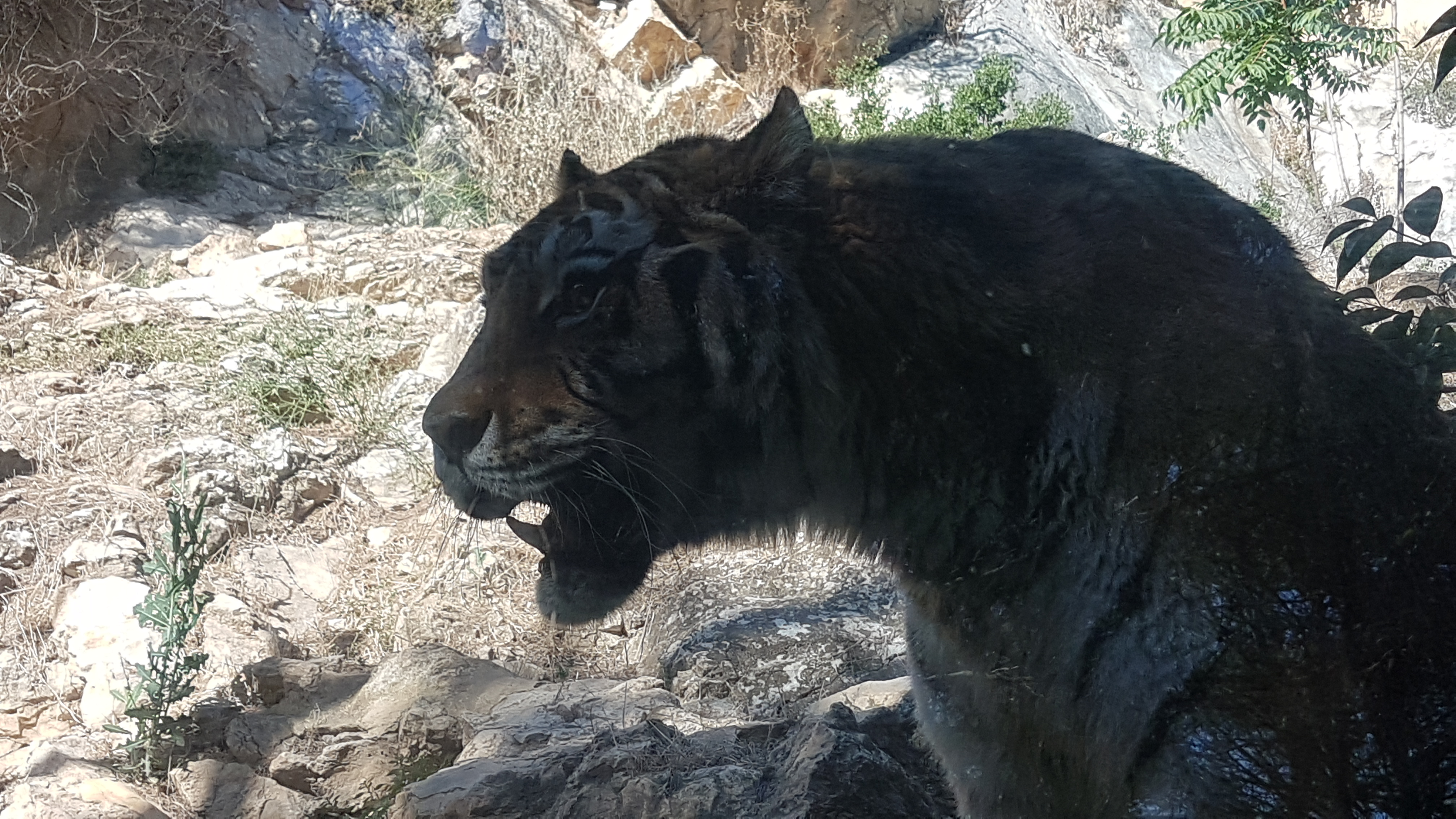 Photo n° 12 de l'avis de Dominique.A fait le 05/08/2017 à 15:53