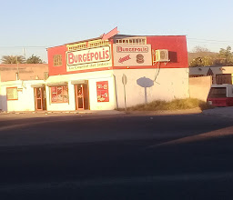 Papovskys Burgers photo