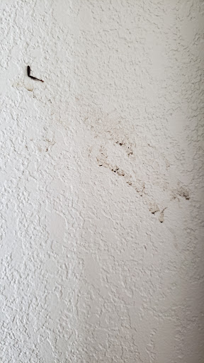 Hardware Store «Old Town Ace Hardware», reviews and photos, 809 S Washington St, Alexandria, VA 22314, USA