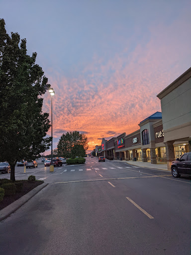 Grocery Store «Food Lion», reviews and photos, 377 W Jackson St, Cookeville, TN 38501, USA