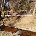 Photo n°5 de l'avis de Gabriele.r fait le 23/03/2019 à 16:59 sur le  Sante Royale Hotel & Gesundheitsresort Bad Brambach à Bad Brambach