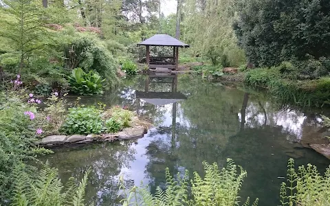 Jablunkovské Arboretum image