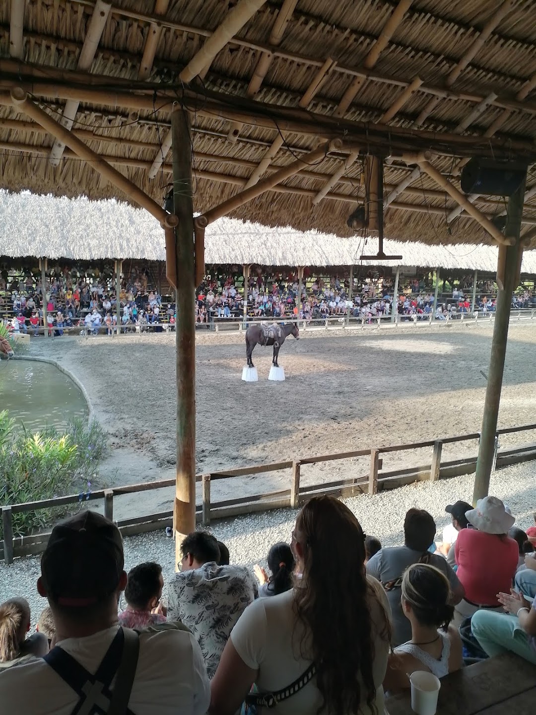 Estacion Equinos Panaca