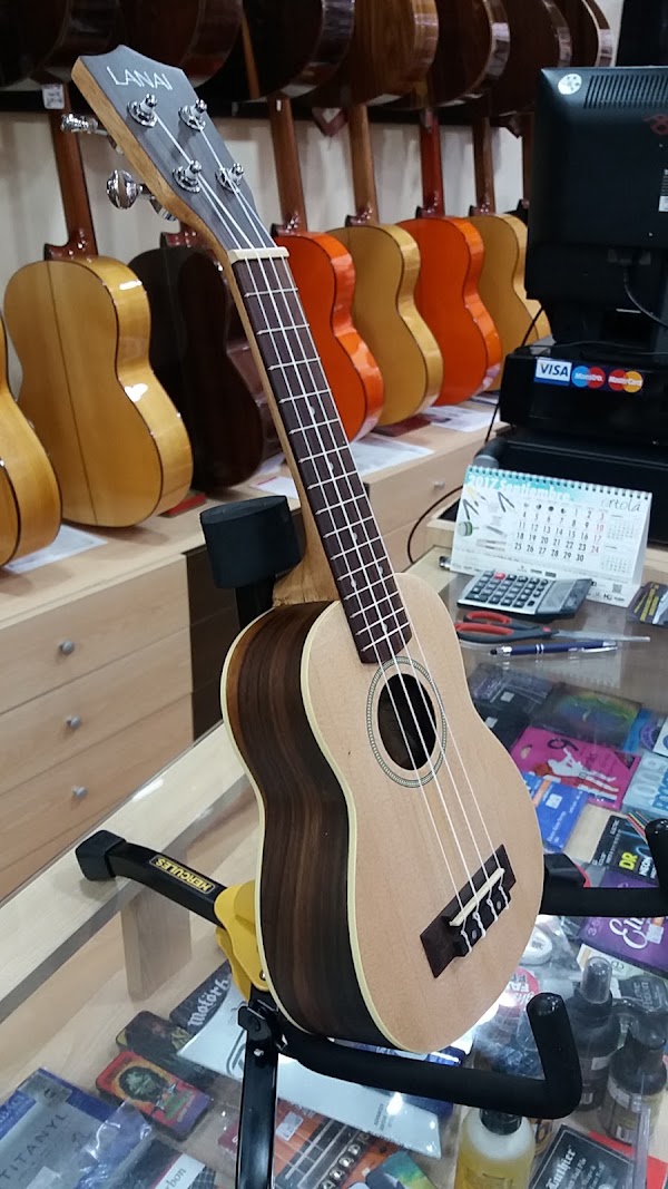 Imagen de Enrique Instrumentos Musicales (2 de 5)