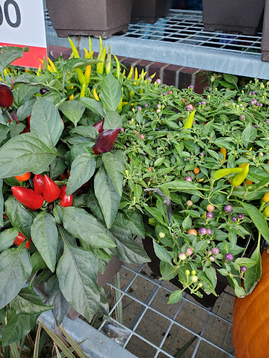 Supermarket «Hy-Vee», reviews and photos, 1725 Jordan Creek Pkwy, West Des Moines, IA 50266, USA