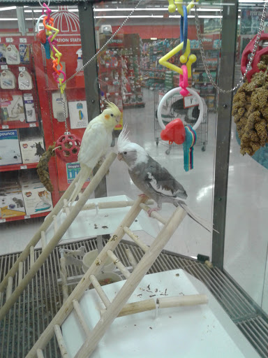 Pet Supply Store «Petco Animal Supplies», reviews and photos, 2520 E 3rd St, Bloomington, IN 47401, USA