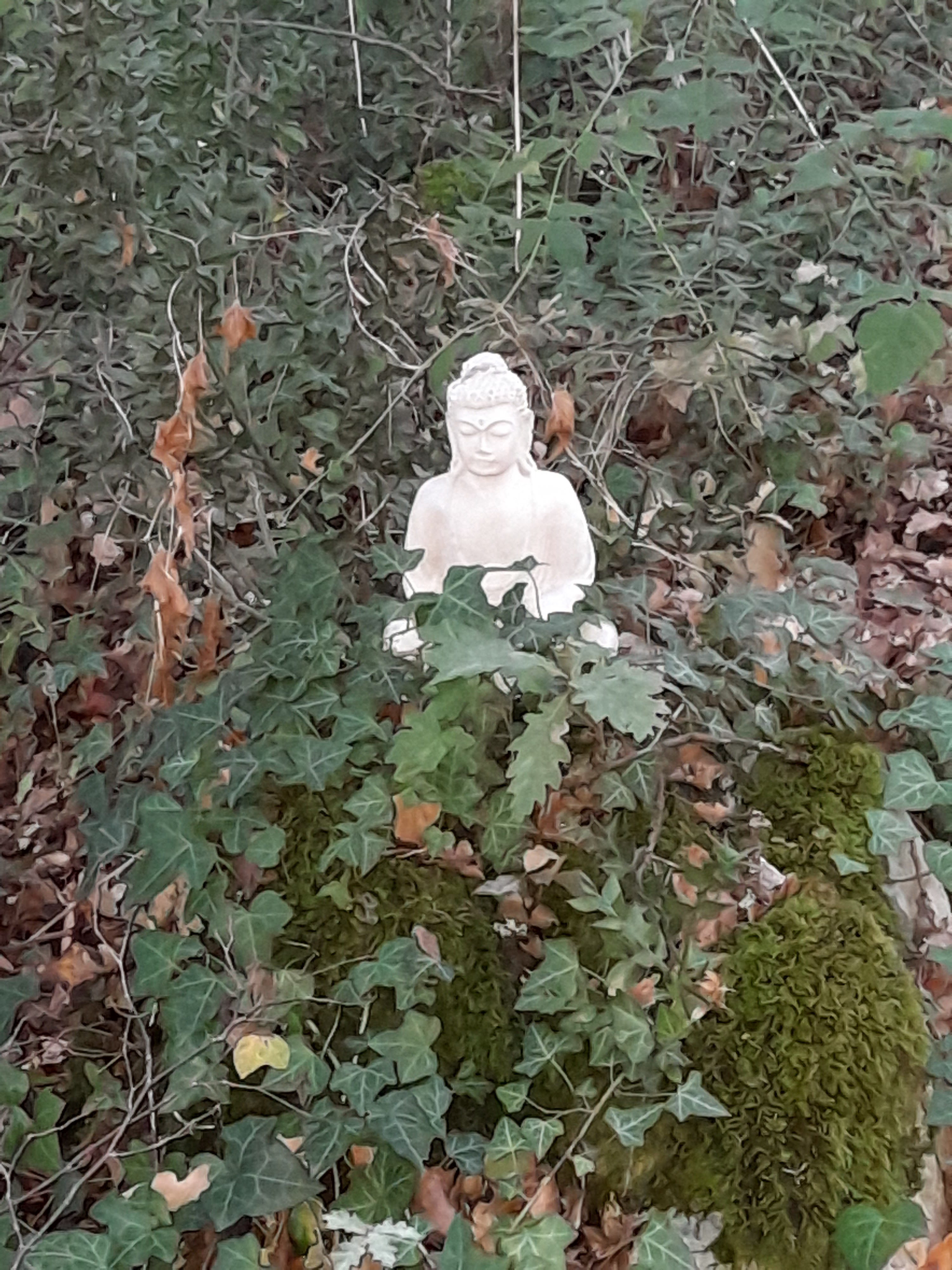 Photo n° 8 de l'avis de Anke.. fait le 01/10/2022 à 19:29