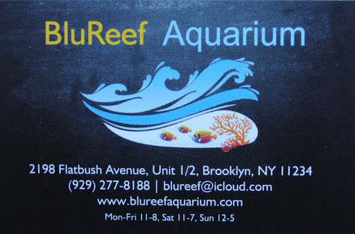 Tropical Fish Store «BluReef Aquarium», reviews and photos, 2198 Flatbush Ave, Brooklyn, NY 11234, USA