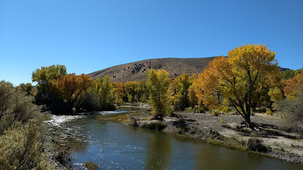Carson River Park