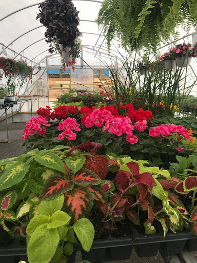 Hardware Store «Bliffert Lumber & Hardware», reviews and photos, 1014 E Chambers St, Milwaukee, WI 53212, USA