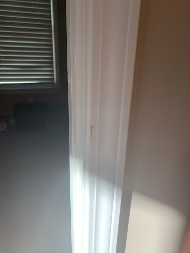 Painter «The Painting Company», reviews and photos, 210 W Crossville Rd, Roswell, GA 30075, USA