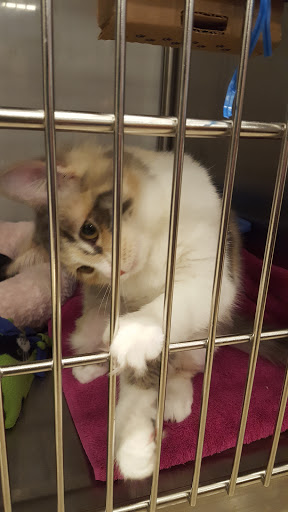 Pet Supply Store «PetSmart», reviews and photos, 11200 Prairie Lakes Dr, Eden Prairie, MN 55344, USA