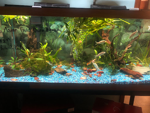 Pet Store «Just Pets», reviews and photos, 393 NY-5, Irving, NY 14081, USA