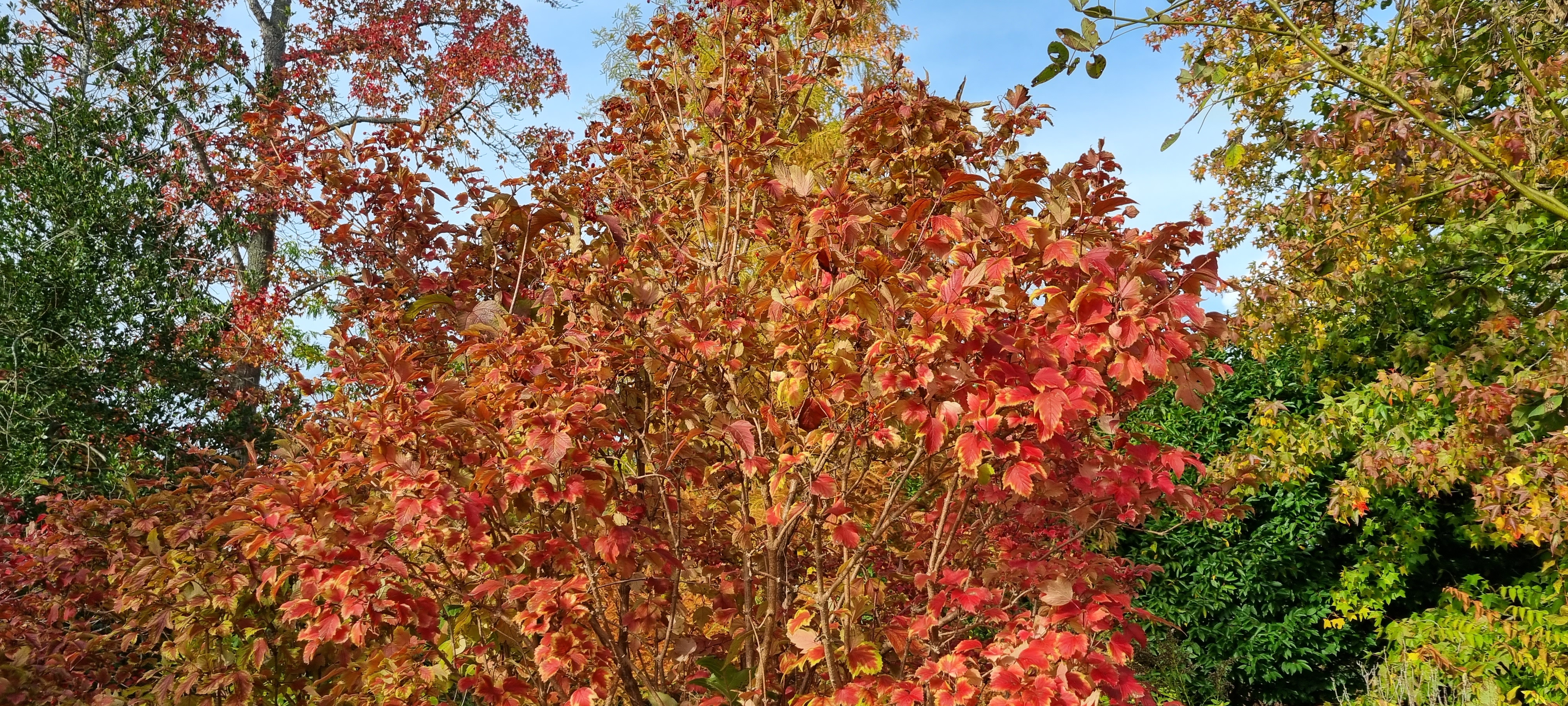 Photo n° 21 de l'avis de lemagicien40. fait le 03/11/2023 à 07:28