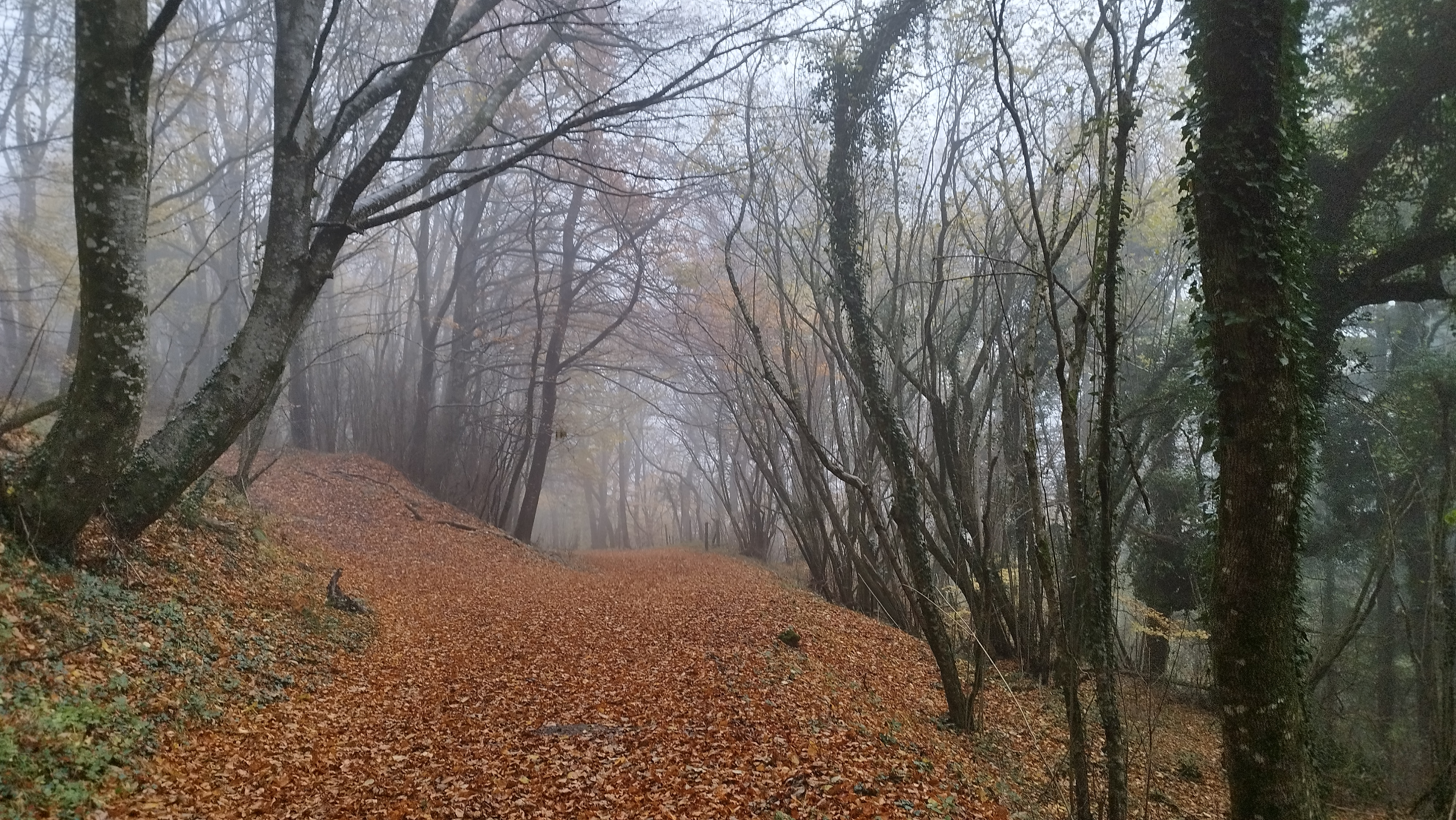 Photo n° 8 de l'avis de Christophe.� fait le 24/11/2023 à 16:09