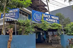 Back Water Aquatics Kochi - Aquascaping and Aquarium Shop image