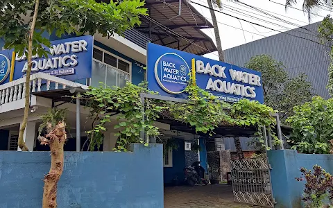 Back Water Aquatics Kochi - Aquascaping and Aquarium Shop image