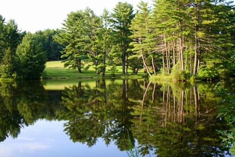 Museum «Dorflinger Glass Museum», reviews and photos, 37 Suydam Dr, White Mills, PA 18473, USA